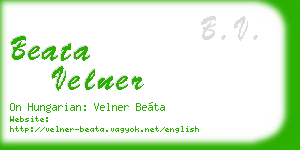 beata velner business card