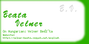 beata velner business card